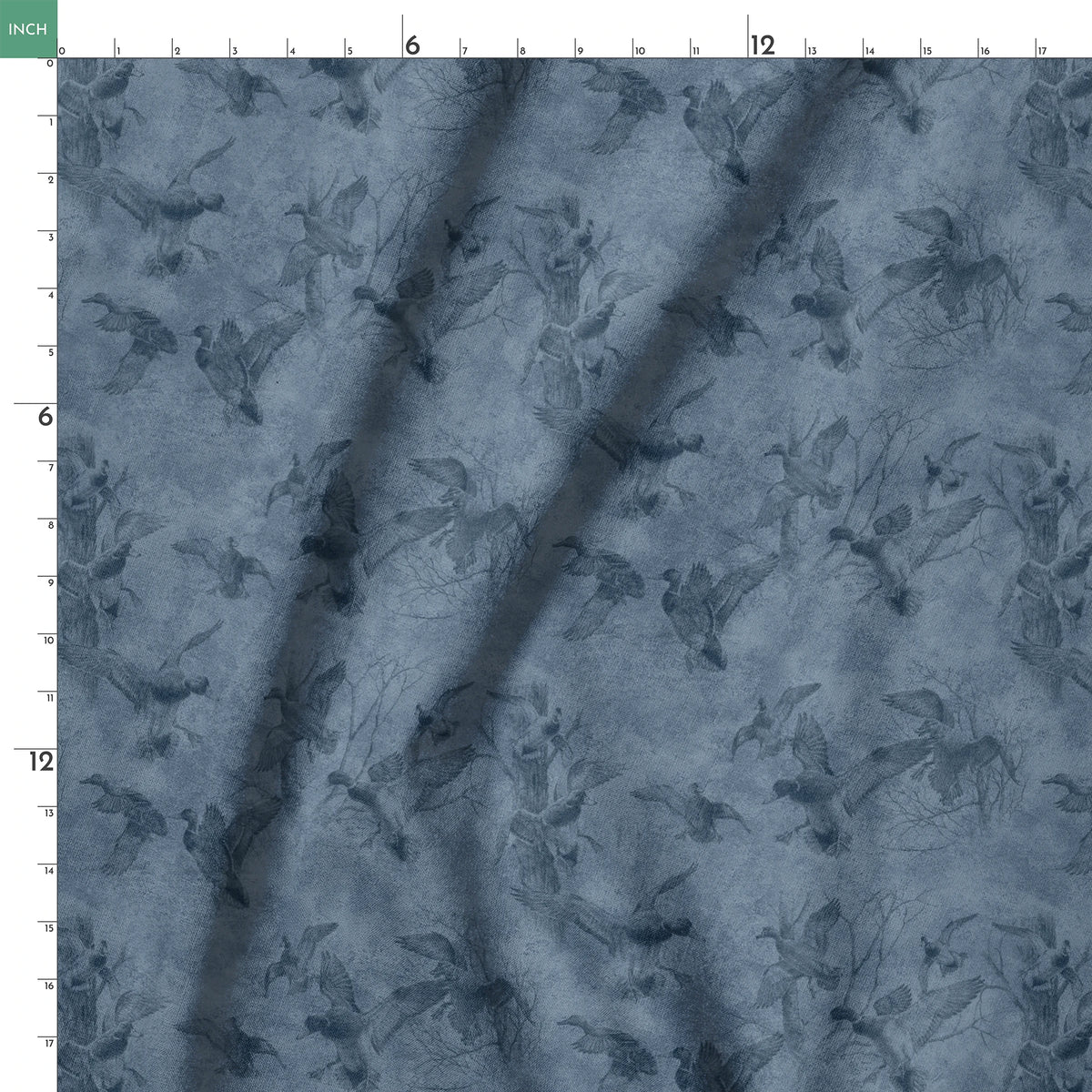  springs ruler 18x18