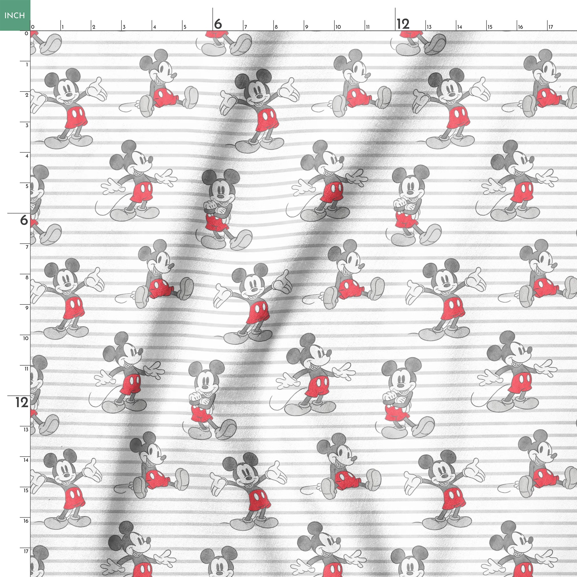 Mickey Mouse cartoon characters in various poses on gray and white striped background springs ruler 18x18