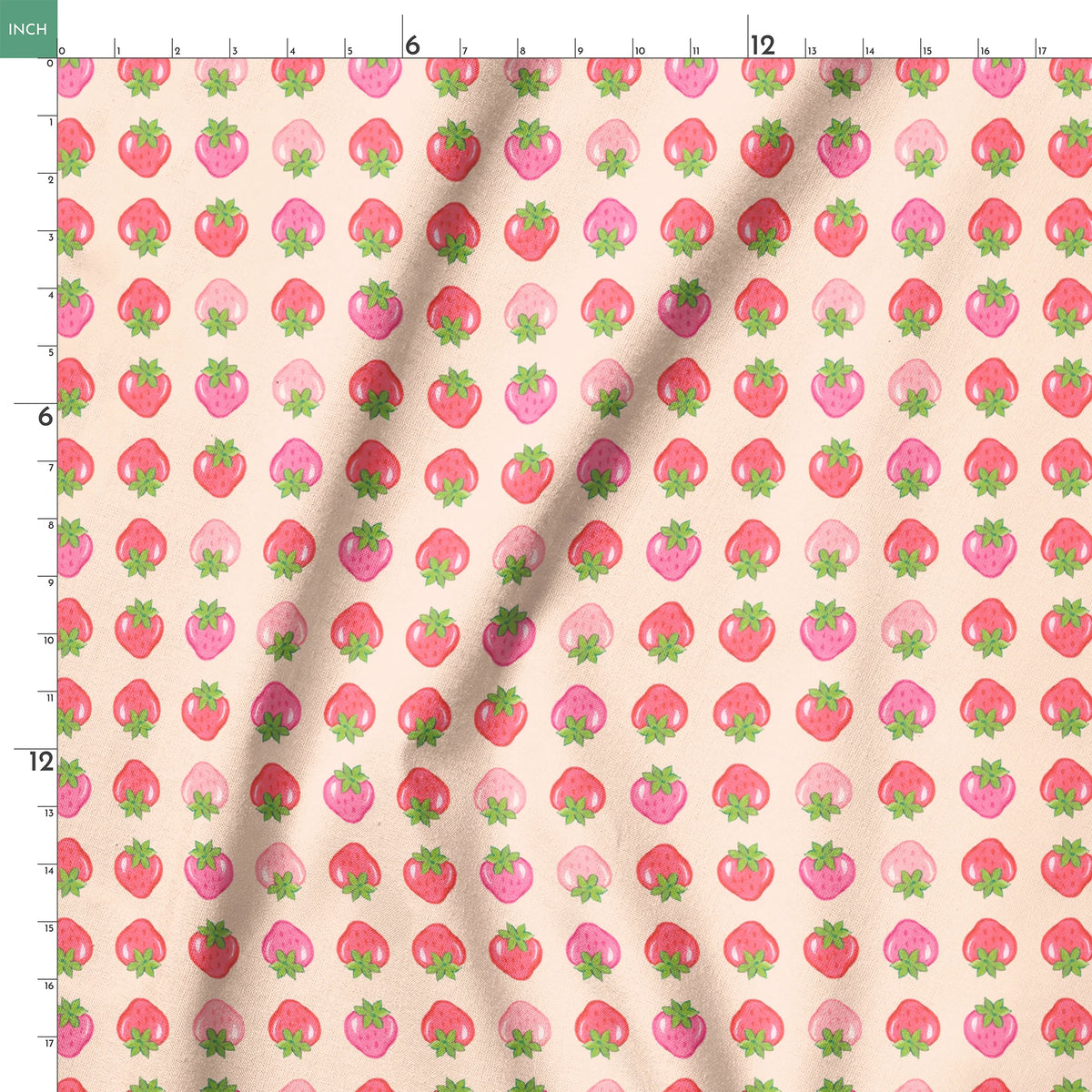  springs ruler 18x18