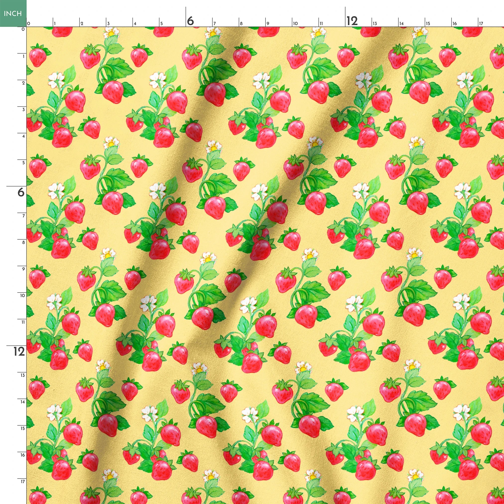  springs ruler 18x18