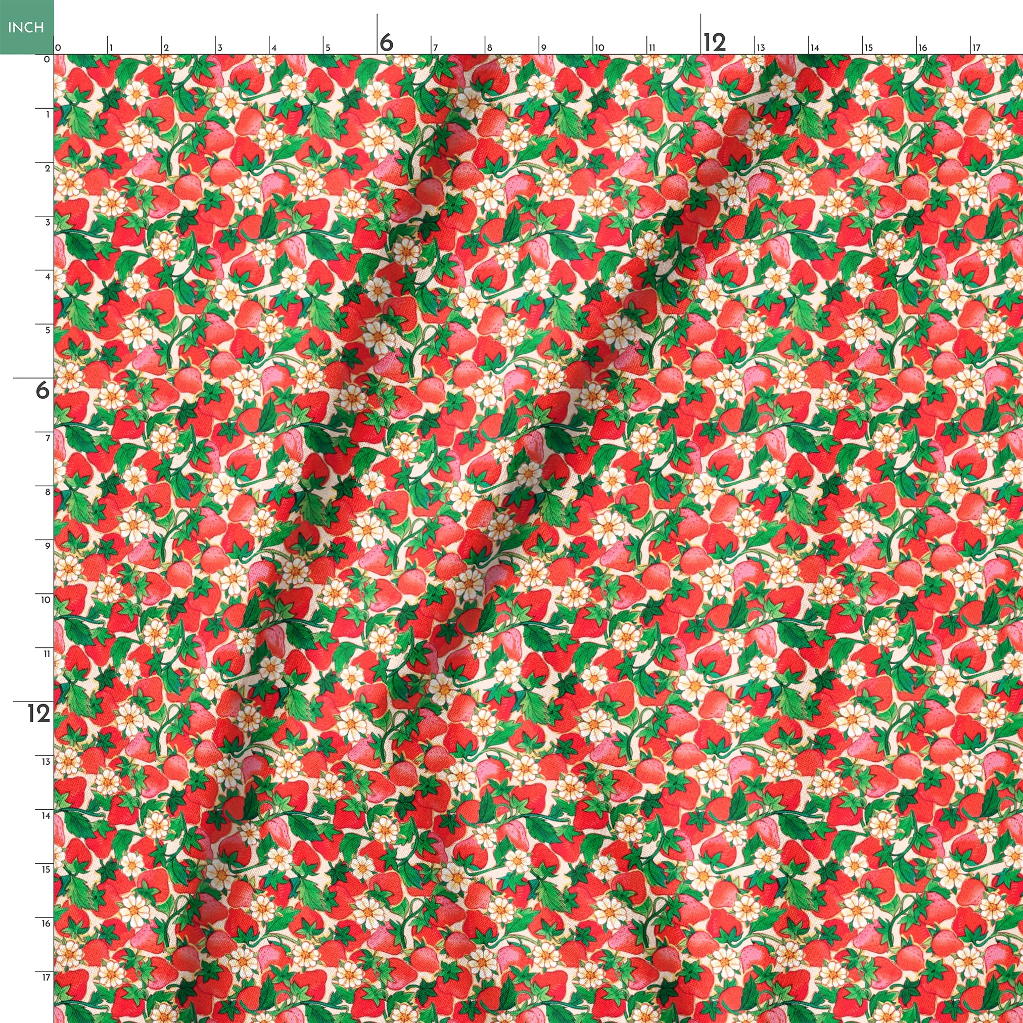  springs ruler 18x18