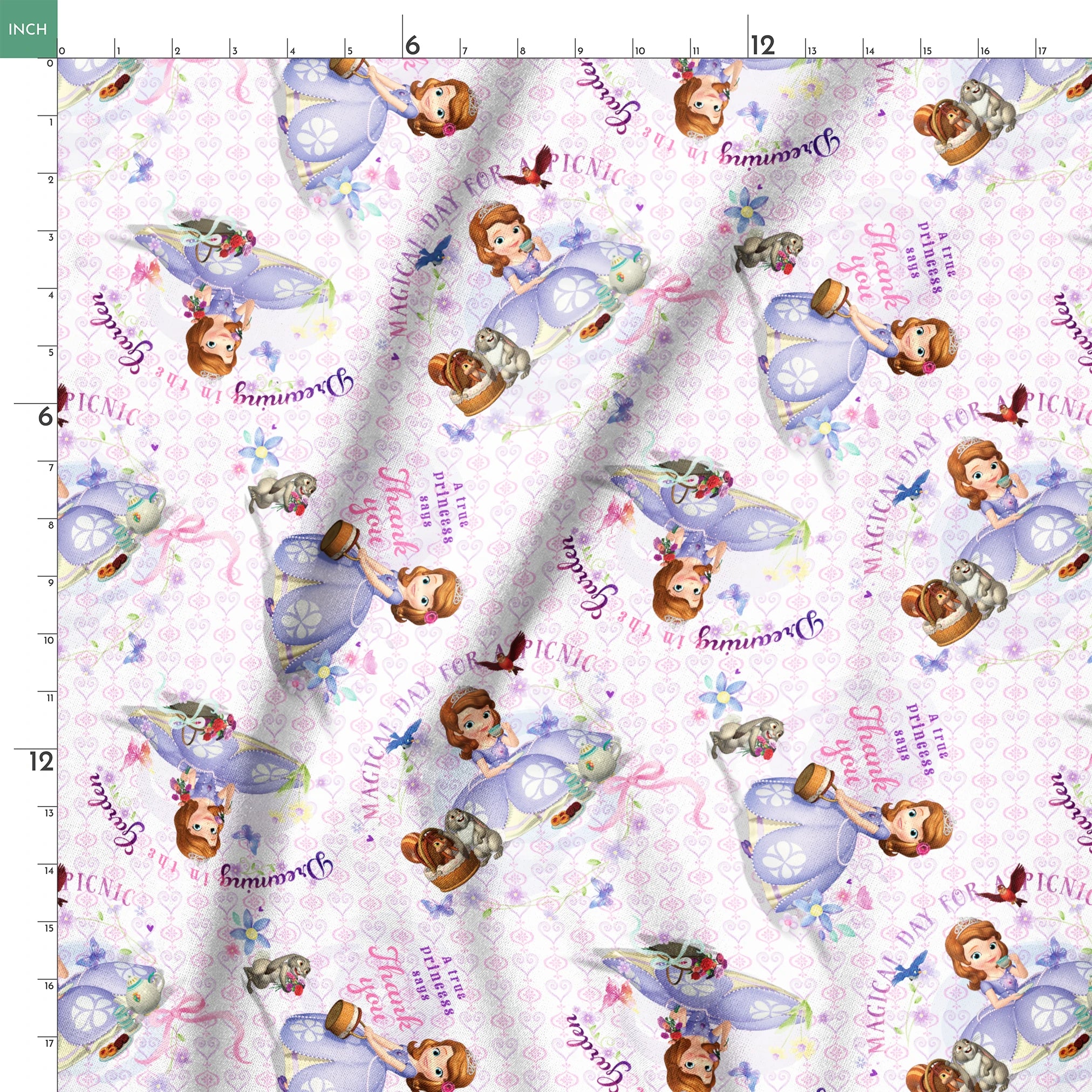 Disney Sofia the First Princess-themed pattern with characters in purple dresses, crowns, and the text "Beautiful Princess" on light purple background springs ruler 18x18