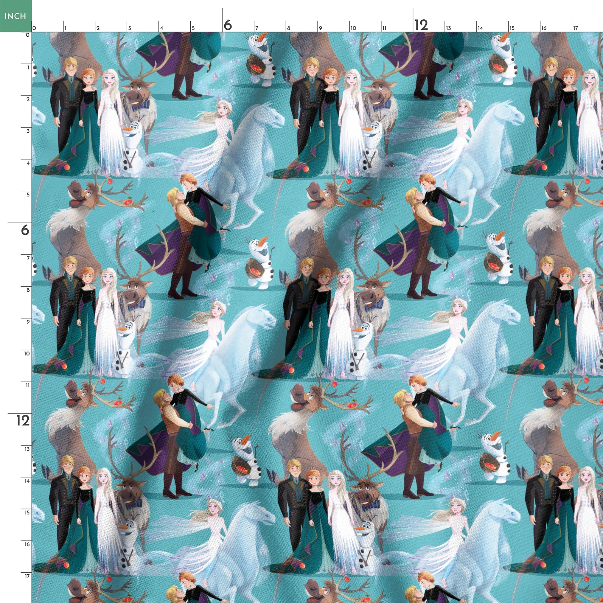 Characters from Frozen movie including Elsa, Olaf, Sven and others on turquoise background springs ruler 18x18