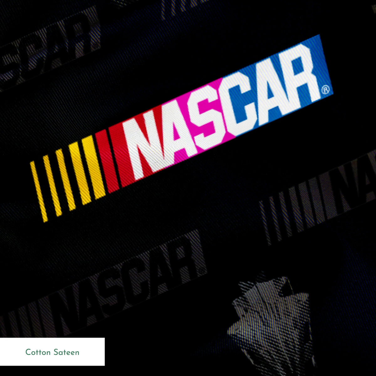 NASCAR® Retro Champions on Black Fabric