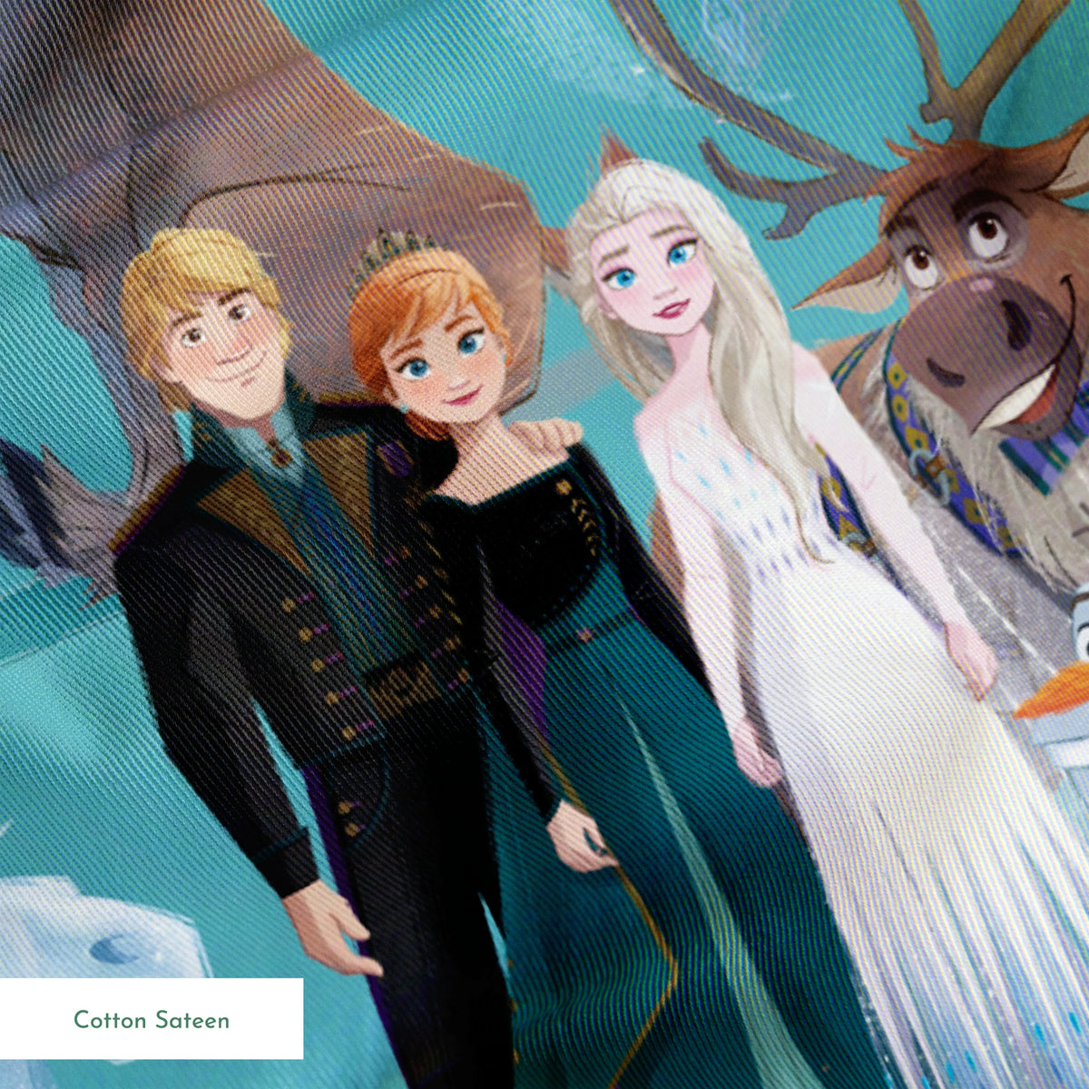 Disney Frozen  Playful Poses Fabric