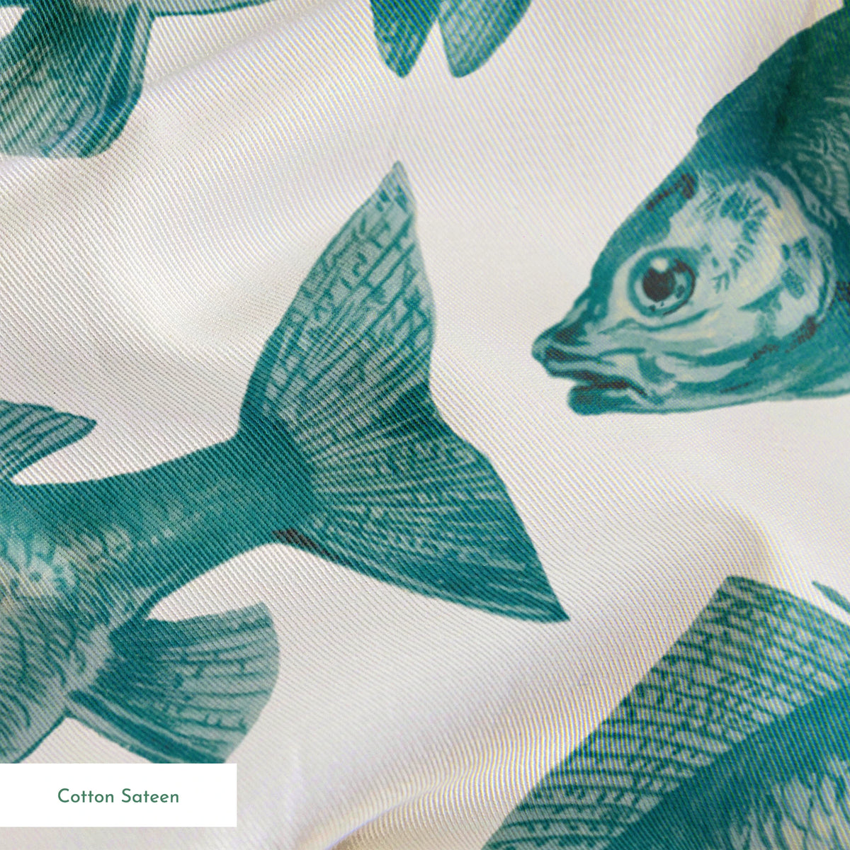Guppy on Mineral Fabric