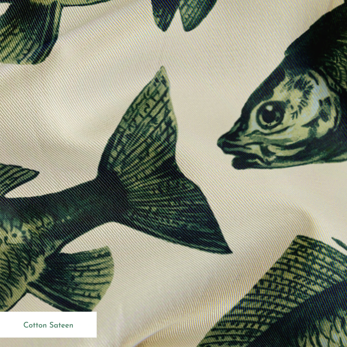 Guppy on Forestry Fabric