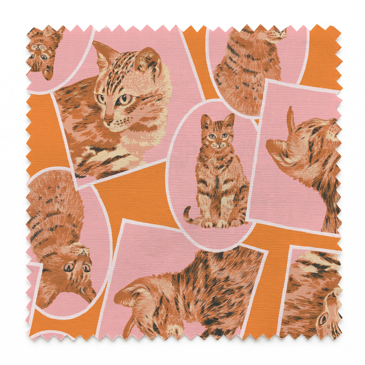 springs swatch pinked