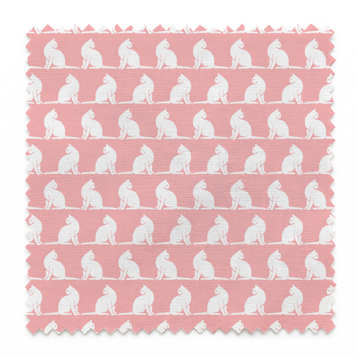  springs swatch pinked