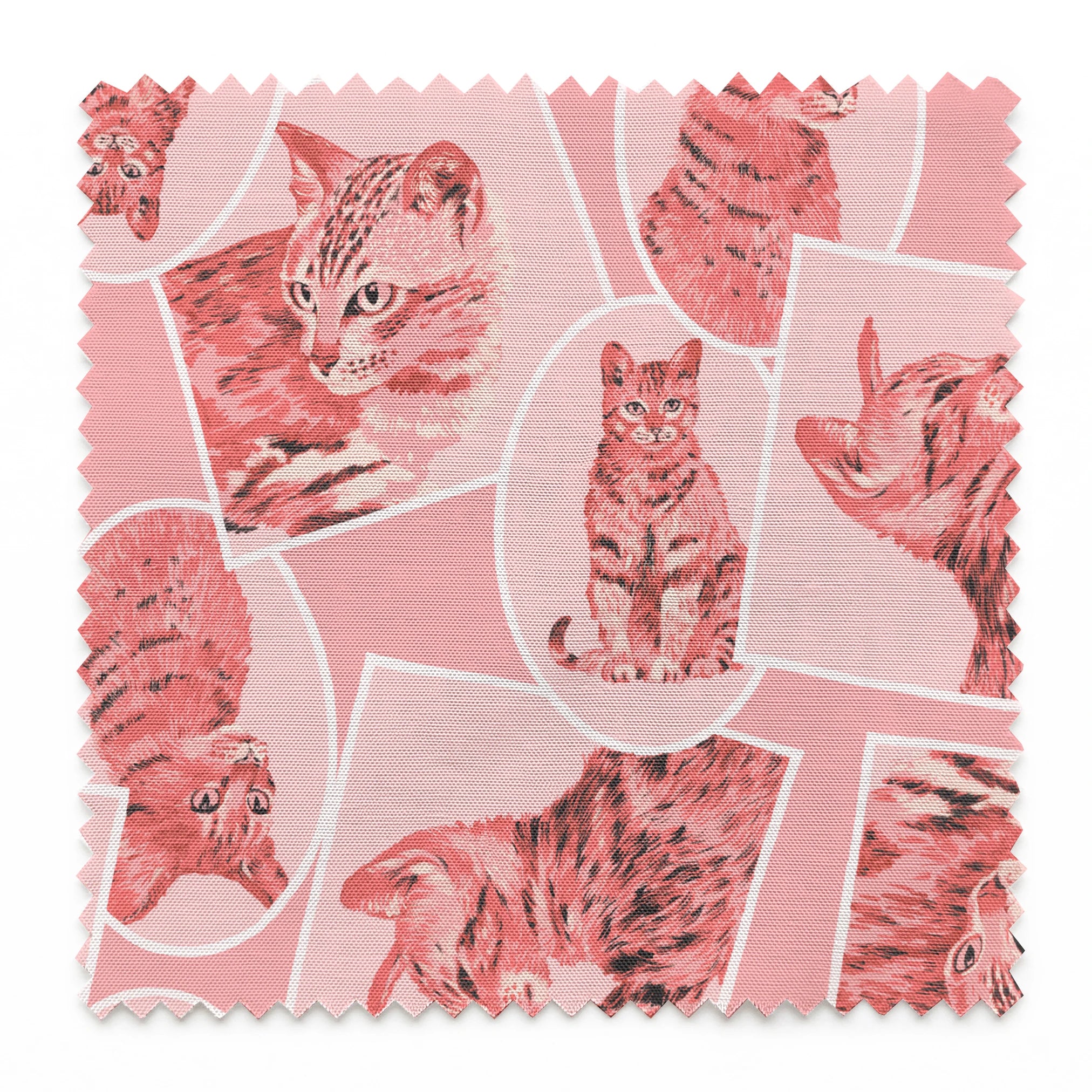  springs swatch pinked