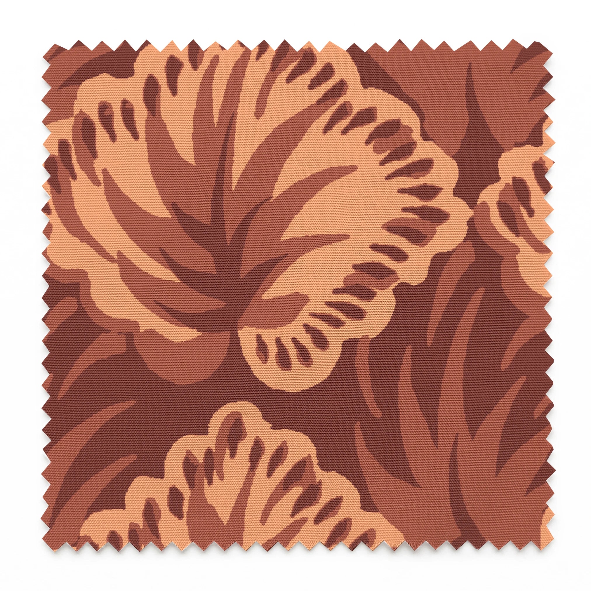  springs swatch pinked