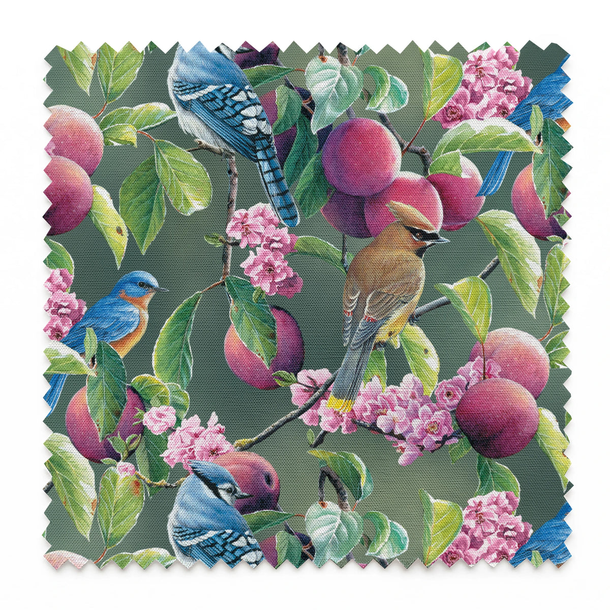  springs swatch pinked