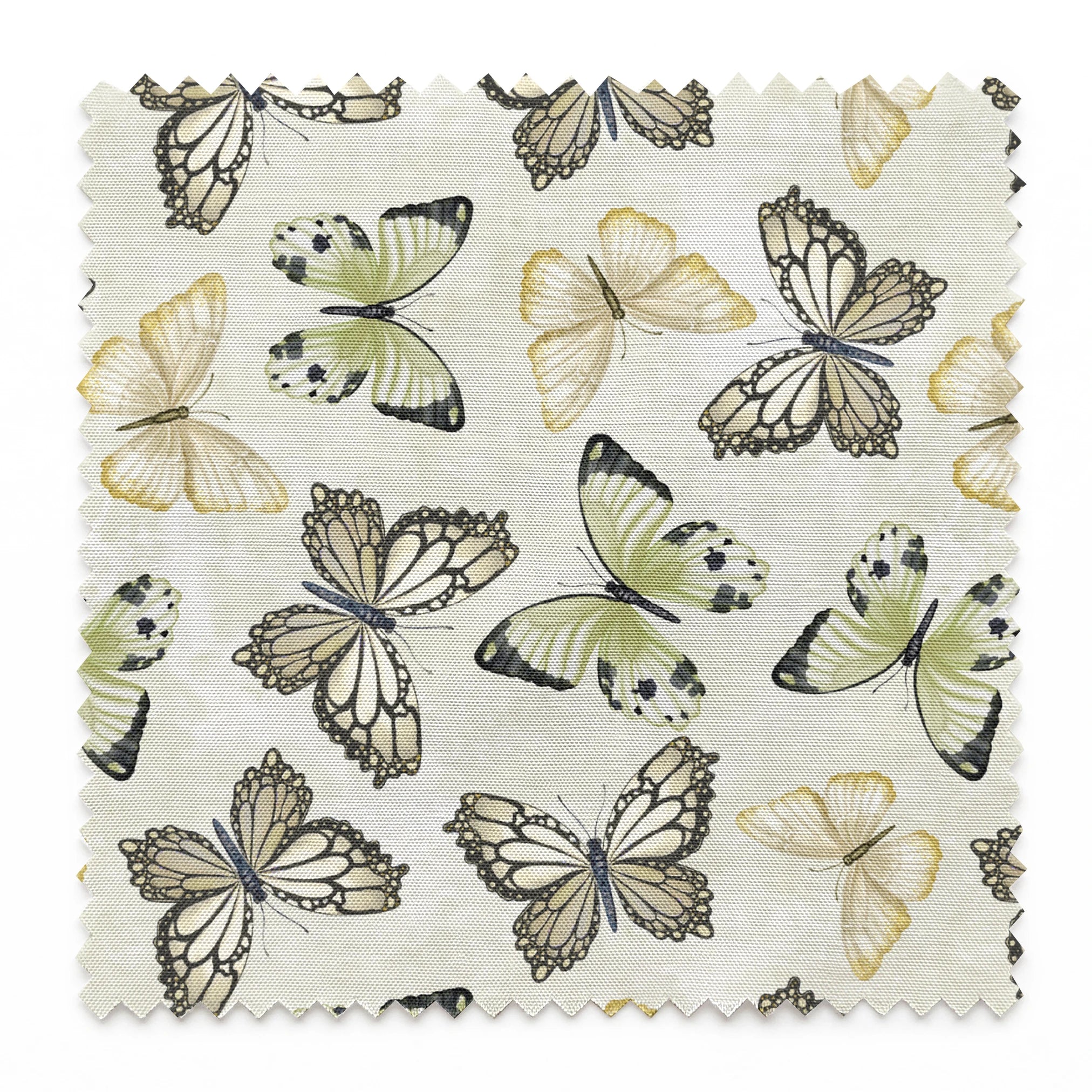 Illustrated butterfly pattern by Nicole Tamarin with soft sage green and neutral tones on a textured cream background. springs swatch pinked