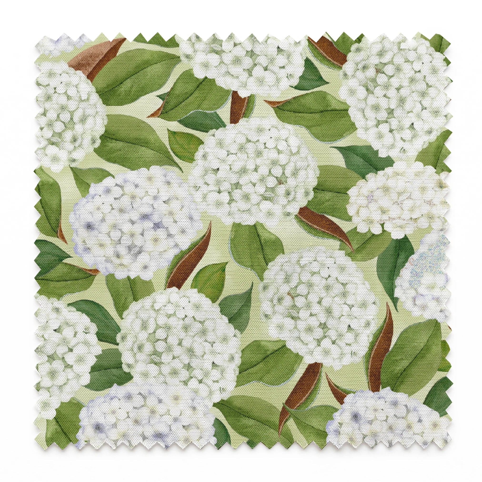 Realistic white hydrangea clusters with green leaves on a soft cream background, designed by Nicole Tamarin in a timeless botanical style. springs swatch pinked