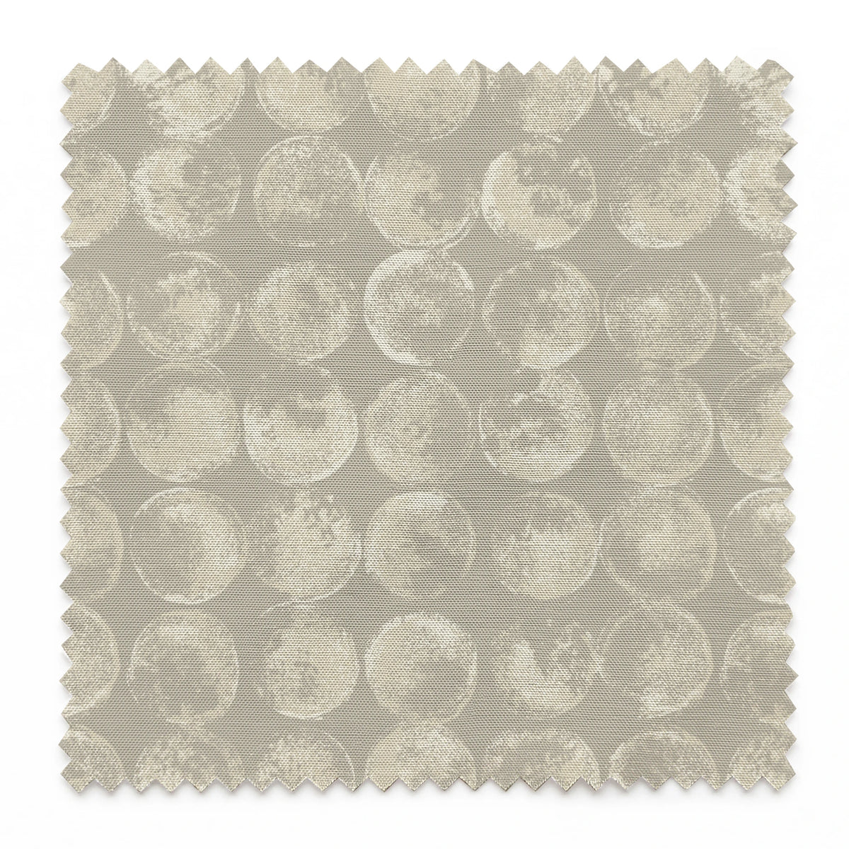 Lunar Light on Casperita Fabric