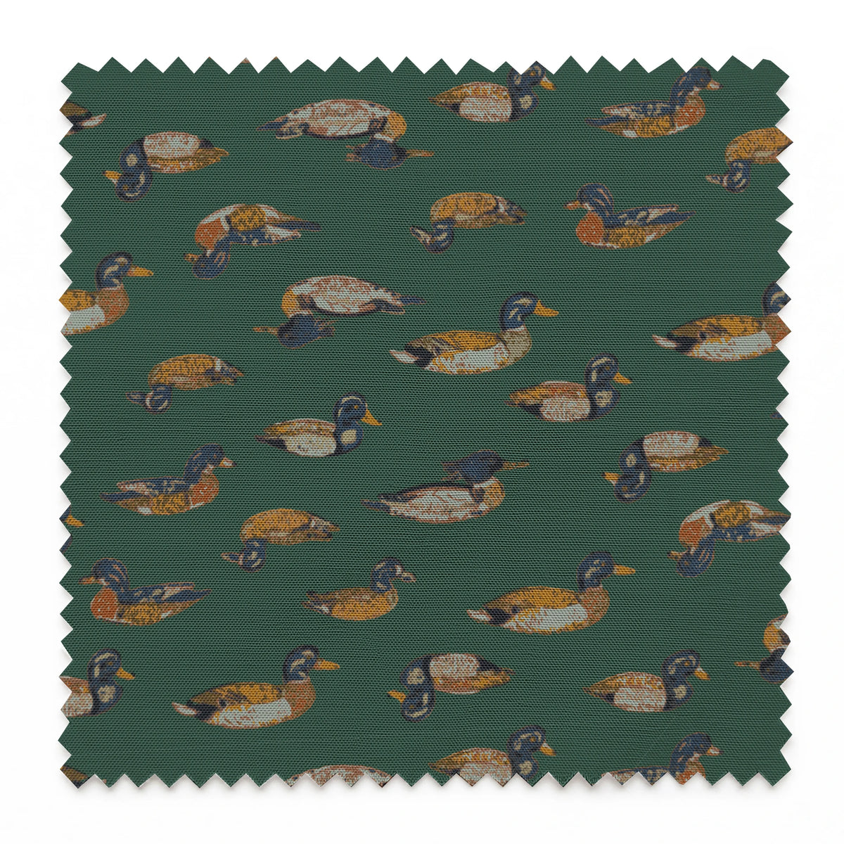 Mallory on Forestry Fabric