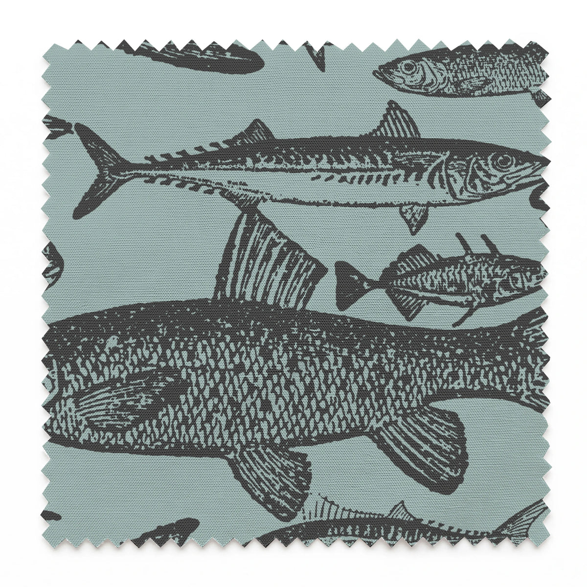 Reed on Mineral Fabric