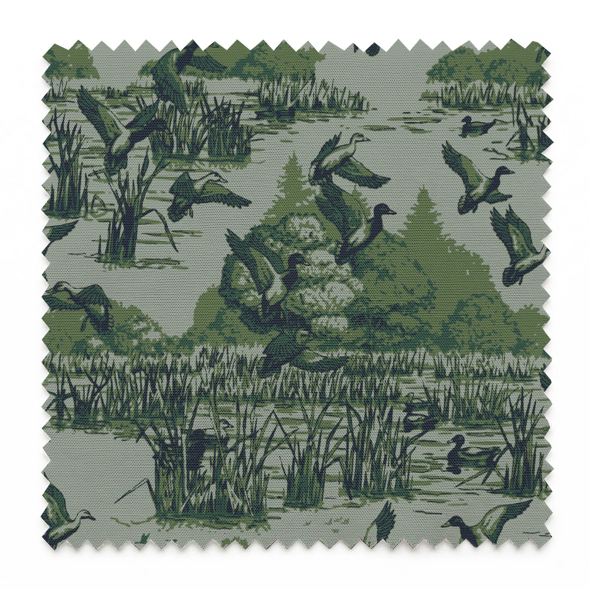 Marsh on Forestry Fabric