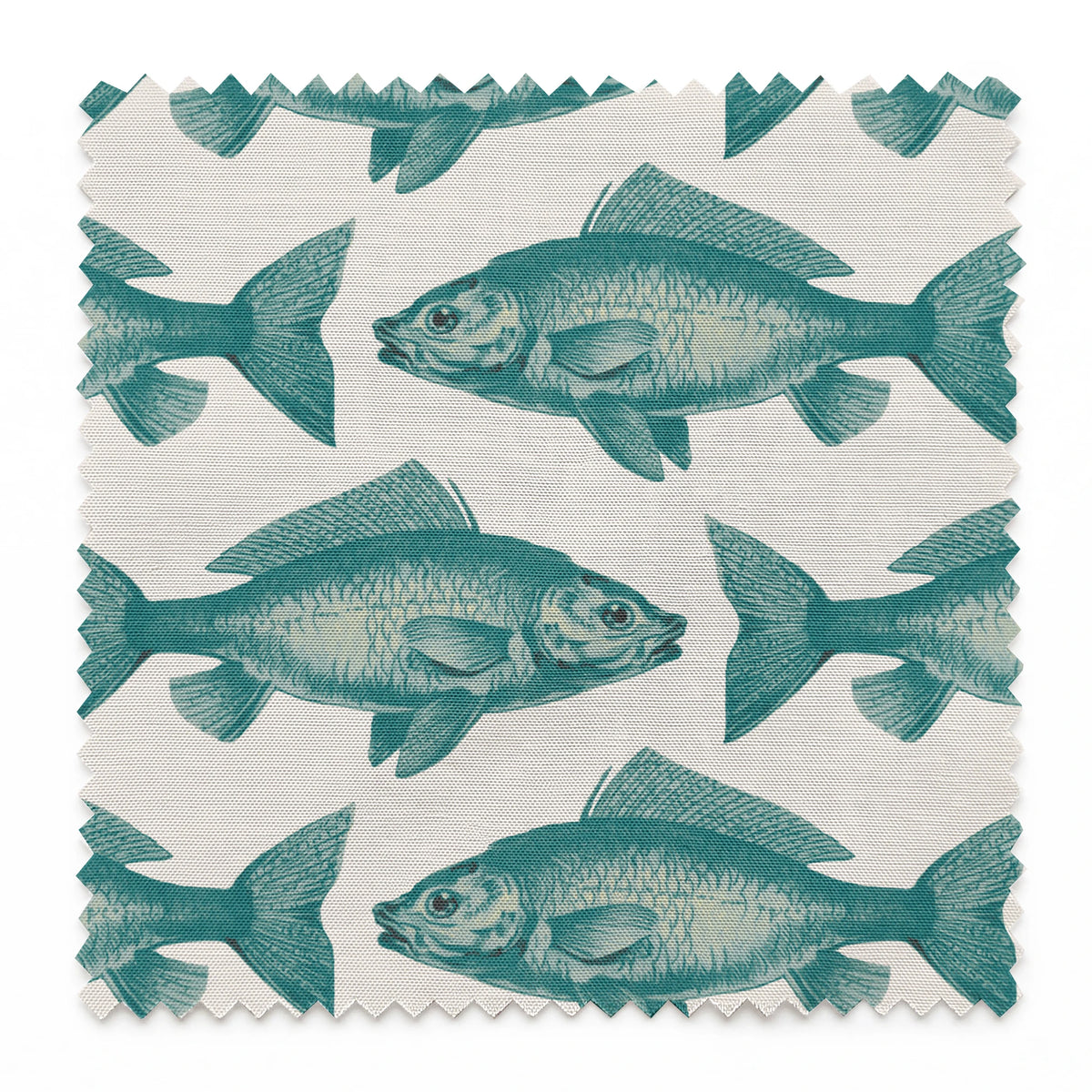 Guppy on Mineral Fabric