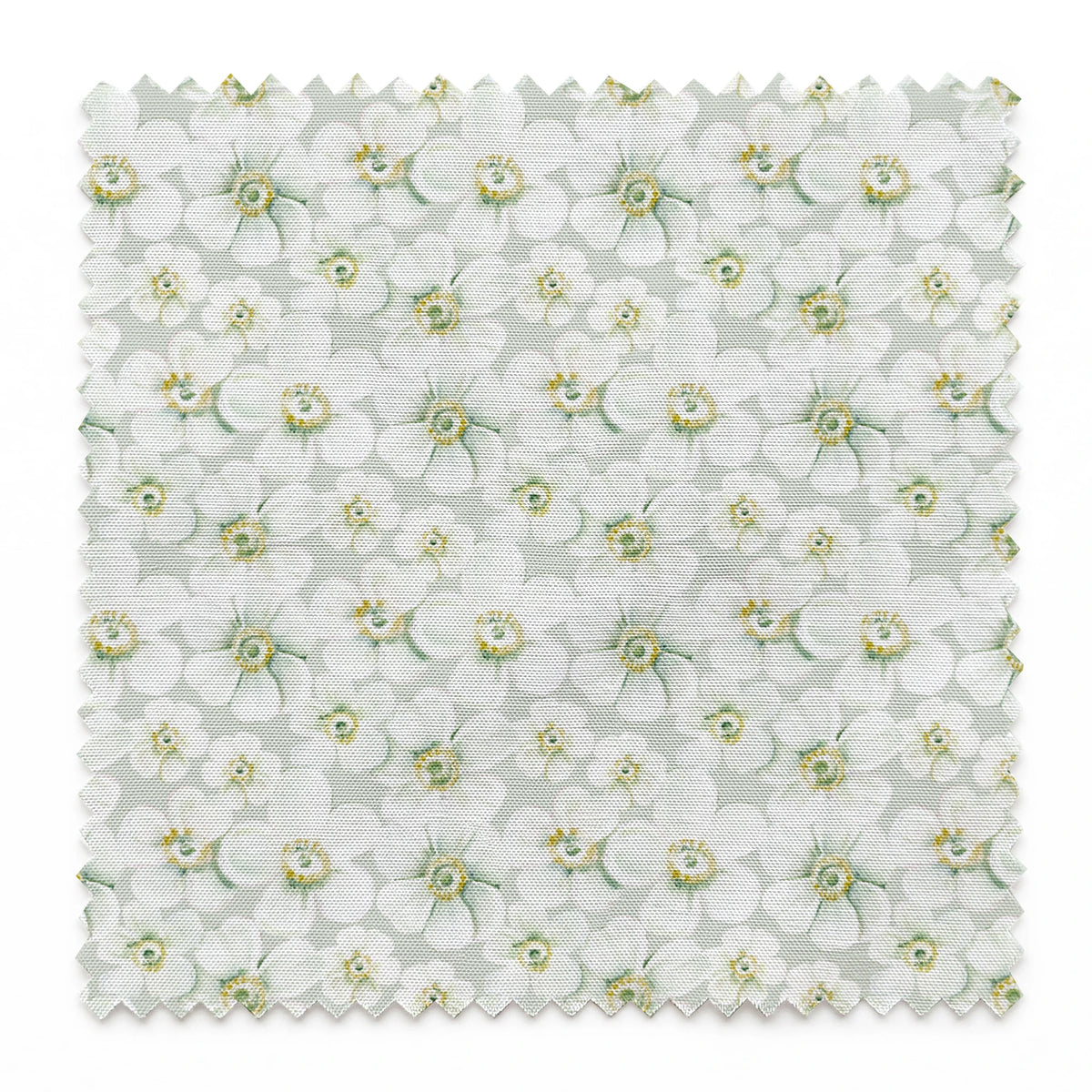 Danielle Murray Anemone Floral on Light Grey Fabric