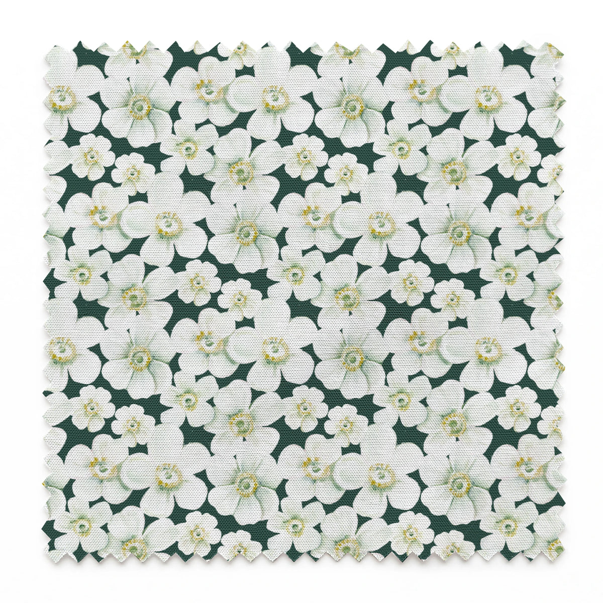 Danielle Murray Anemone Floral on Forest Green Fabric